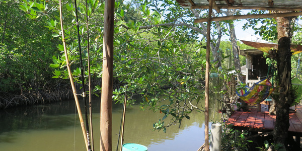 back river gumm lonely club koh kood