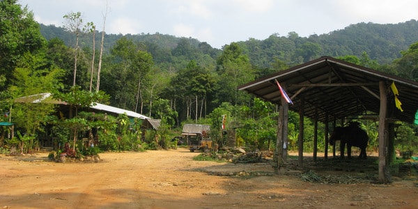 elephant camp chang chutiman koh chang