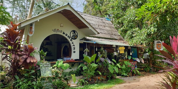 exterior pawinas klong prao beach restaurants koh chang