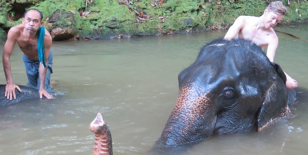 ban-kwan-chang-koh-chang-elephant-trek