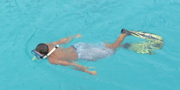 snorkeling at koh rang