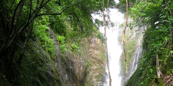 top tier klong neung