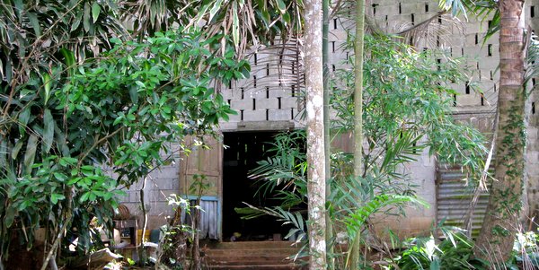 koh-mak-trails-bicycle-paths-koh-mak-activities