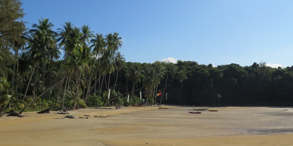 sai daeng beach koh kood